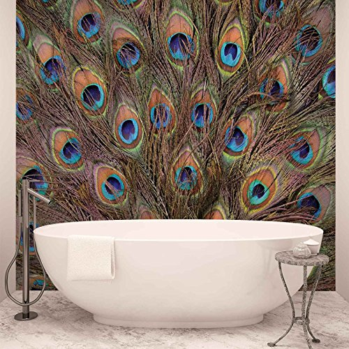 Forwall Vlies Fototapete Tapete Vliestapete Pfau Feder Tieren AF645VEXXXL (416cm x 254cm) Photo Wallpaper Mural