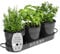 Barnyard Designs Indoor Herb Garden Planter Set with Tray, Metal Windowsill Plant Pots with Drainage for Outdoor or Indoor Plants, Black, Set/3