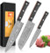 KEENZO 3er Damastmesser Set, Kochmesser Küchenmesseraus 67 Lagen Damaststahl Ultra Scharfes Messerset mit Chefmesser Santokumesser Allzweckmesser für Haus und Küche, Geschenkbox