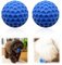 2 Stück Hundeball, Naturkautschuk, Quietschend, Robust Hundespielzeug Ball, 5.5cm Ball Hund, Geeignet für Kleine Hunde