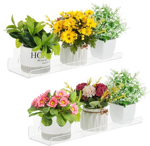 BOUTICOL 2 Packung Fenster Pflanzenregale 40CM Acryl Keine Notwendigkeit Indoor Fenster Saugnapf Regal Wand Regal für Pflanzen Küche, Schlafzimmer, zum Anbauen von Kräutern