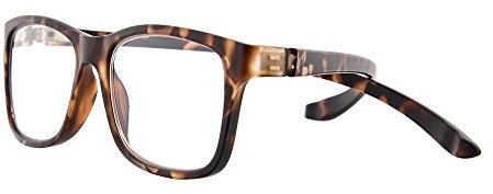 Michael Pachleitner Group Lesebrille Neckholder inklusive Etui / +2,50 Dioptrien / braun
