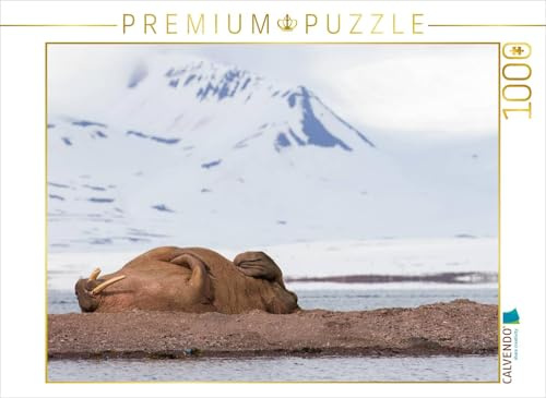 CALVENDO Puzzle Walross | 1000 Teile Lege-Größe 64 x 48 cm Foto-Puzzle für glückliche Stunden