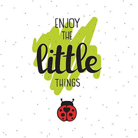 Tischdeko 20 Stück Serviette Marienkäfer Frühling Sommer