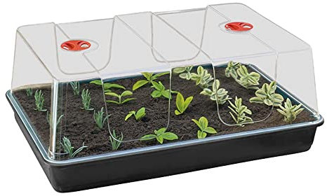Muddy Hands High Dome Propagator Garden Greenhouse Plant Seedling Seed Germination Tray with Lid (Tray Comes Without Drainage Holes) (Extra Large)