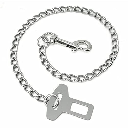 Catena in acciaio inox 304, cintura di sicurezza per cani, gatti, animali domestici, auto, guinzaglio di sicurezza