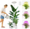 YUYMIKA 72LED Vollspektrum Pflanzenlampe-Rundschreiben, 3Meter Stromkabel AutoTimer, 1.5Meter Teleskopschiene, Pflanzenleuchte für große Pflanzen, Bonsai, Palmen und Blumen(1PCS)