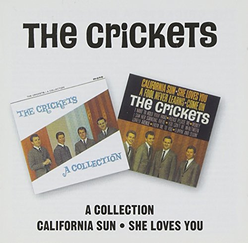 A Collection/California Sun-She Loves You