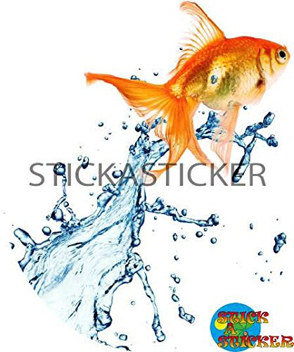 Sticker Autocollant Abattant WC Poisson Rouge 35x42cm réf 320