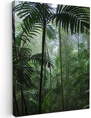 MuchoWow© Impressions sur Toile 50x70 cm Deco Tableau Murale Decoration Salon Peinture Tableaux Chambre Toiles Maison Forêt tropicale - Tropicale - Jungle - Arbres - Plantes