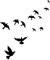 AUTSUPPL Wandaufkleber Vogel Schwarz Vinyl Wandtattoo Abnehmbar Diy Wanddeko 44x42 Cm Kreativ Für Wohnzimmer Schlafzimmer