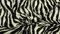 StoffBook SCHWARZ/WEIß KURZFLOR ZEBRA TIERFELL FELLSTOFF STOFF STOFFE, C117