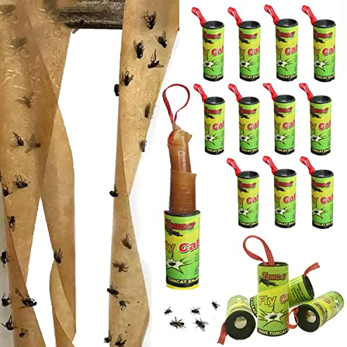 BTORER Fliegenfallen für drinnen im Freien, Fliegenpapier Streifen klebrig hängen, Obst Fliegenstreifen, Fliegenband Fänger Band, Obst Fliegenfalle hängende Fänger für drinnen im Freien (16)