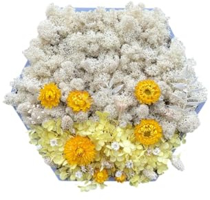 Gedankenwunder Manufaktur Moosbild Gelber Hortensien Blumenwald Hortensien & Islandmoos Hexagon Wabe