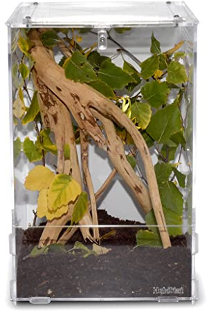 Habistat Clear Home - Large - Transparent Design - Durable Glass Tank - Reptile Tank - Glass Enclosure - Wire Mesh Top - Side Ventilation - Suitable for Reptiles & Invertebrates