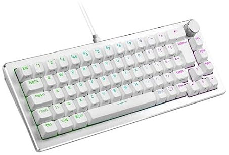 Cooler Master CK720 65% Hot Swappable USB Mechanische Gaming-Tastatur – Silber Weiß