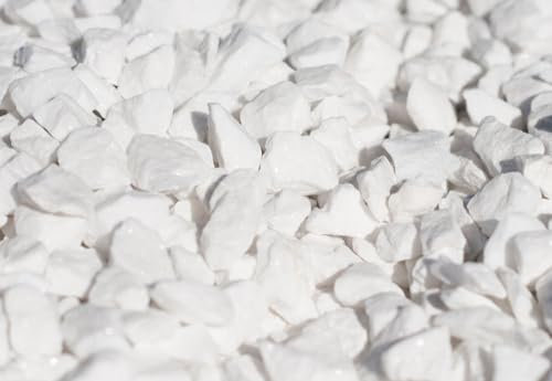 TODOSTONES Piedra Blanca Tipo Grava para Decoracion Jardin, macetas, jarrones o Plantas. (Blanco 8-12 mm, 1 kg)