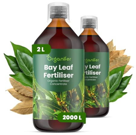 Organifer Engrais Liquide pour Laurier, 2x1L, Organique, Favorise Feuilles Saines et Racines Fortes