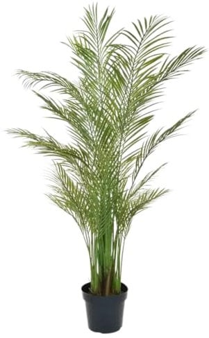 Künstliche Areca Palme - Amelie | 180 cm - UV-beständig, feuerhemmend, pflegeleicht, ideal für Wohnung und Terrasse, hohe Qualität, exotisches Ambiente, Blickfang für Innen- und Außenbereiche.
