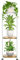 JC-Houser Pflanzenständer mit 3 Etagen, 86,4 cm, Metall-Holz-Eck-Pflanzenständer für Zimmerpflanzen, runder Blumentopfhalter, Regal, Ausstellungsregal für Balkon, Garten, Terrasse, Wohnzimmer (weiß)