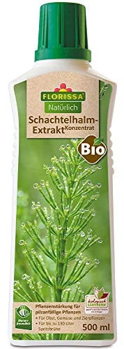 Florissa Natürlich Bio Schachtelhalm Extrakt Konzentrat | zur Vorbeugung von Pilzbefall bei Obst, Gemüse und Zierpflanzen | vorbeugend gegen Mehltau, Sternrußtau, Schorf, Grauschimmel, Krautfäule