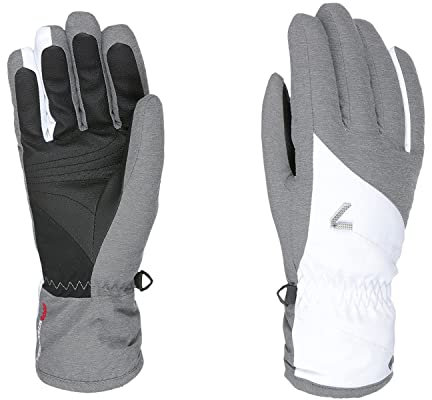 Level Astra W Handschuhe Damen L Gore-Tex grau