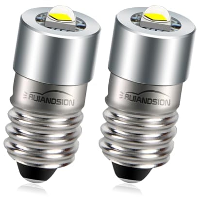 Ruiandsion LED Taschenlampen Glühbirne Upgrade E10 Base DC 3-24V 3030 LED Ersatzbirne für Taschenlampen Arbeitsfackel oder Fahrrad (2er Pack)