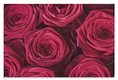 flechr Rosen, Blumen, Pflanzen, rote Rosen, rote Blumen, Blütenblätter, Poster, Malerei, Leinwand, Wandkunst, Wohnzimmer, Poster, Gemälde, 40 x 60 cm