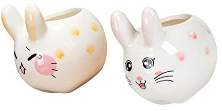 PRETYZOOM Decor Keramik-pflanzgefäß 2er-Set Multifunktionstopf Für Die Inneneinrichtung