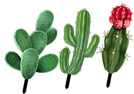 Ciieeo Piquet De Jardin en Acrylique De Cactus 3 Pièces Décoration Extérieure Ornement Solide Décoration De Jardin Accessoire Photo Pelouse