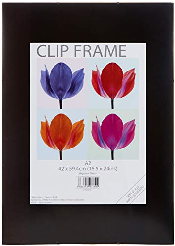 Announce Metal Clip Frame A2