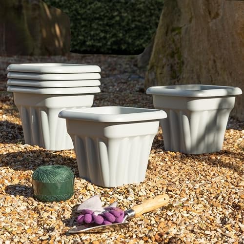 Wham Vista 6 x 25cm Square Plastic Garden Planters | 100% Recycled Plastic | Weather Resistant & Lightweight | Indoor & Outdoor Use | Drainage in UK - Upcycle Grey