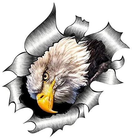 ihreesy Tier Adler Autoaufkleber, Adler Karosserie Seitenaufkleber Wasserdicht Auto Grafik Vinyl Aufkleber Selbstklebend Autoaufkleber Fensteraufkleber Styling Dekorationsaufkleber, 15cm x 15cm