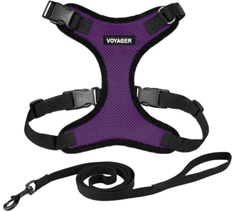 Voyager Step-in Lock Katzengeschirr und reflektierende Katzenleine mit Neoprengriff by Best Pet Supplies - Unterstützt kleine, mittelgroße und große Katzenrassen, Violett / Schwarz, size S - 1,5 m