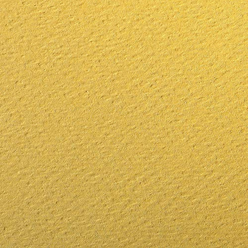 Clairefontaine 93871C Packung (mit 25 Bögen Zeichenpapier Etival Color, DIN A4, 21 x 29,7, 160g, gekörnt, ideal für Trockentechnik und Einrahmen) gelb