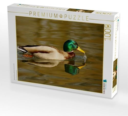 CALVENDO Puzzle Stockente (Anas platyrhynchos) männlich | 1000 Teile Lege-Größe 64 x 48 cm Foto-Puzzle für glückliche Stunden