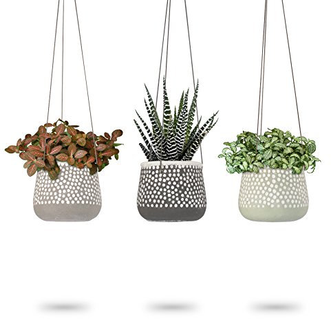 3 Pack Hanging Planter for Indoor Plants, White Concrete Pots, Round Air Succulent Holder Container, Cactus Pot with Rope Hanger, 23 Bees (3, Shades of Nature)
