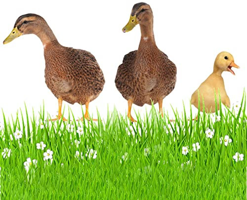 3 Stücke Ente Gartendekoration Gartenstecker | Garten | Acryl Outdoor Statue | Kunst Dekoration Für Patio Yard Backyard Rasen Duck Yard.