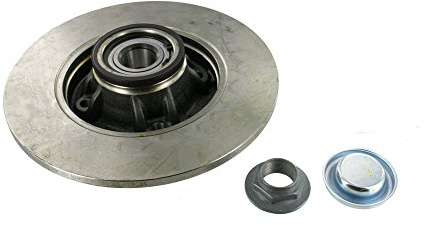 SKF VKBD 1017 Bremsscheibe mit Vormontierter Radlagerun