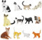 Mini Figuren, Kätzchen Miniatur, Mini Katzen Figuren für 3+ Kinder 12pcs Realistische Katzenspielzeug für Kinder, Plastik Katzenkuchen Topper für Weihnachten Geburtstag Ostern