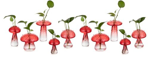 Glasseam Pilzpflanzen-Anzuchtstationen - Rotes Glas-Terrarium Glas Set mit 10 niedlichen Pflanzgefäßen für Zimmerpflanzen Mini Anzuchtstation Einzigartige Weihnachten Geburtstag Geschenke für Frauen