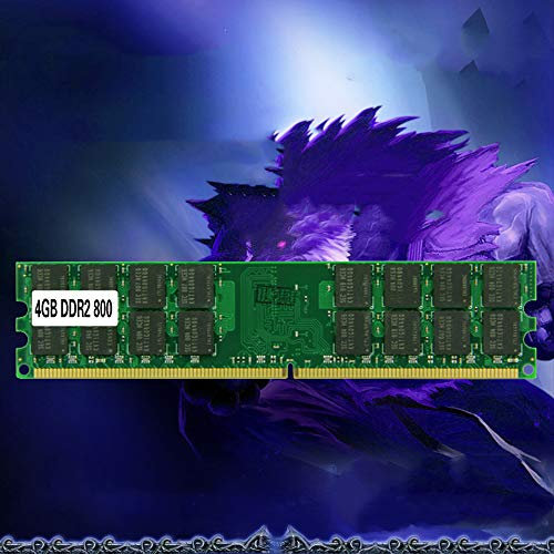 Tenglang Mémoire de Bureau Ram So-DIMM PC2-6400 DDR2 800 MHz 240PIN 4GB / DDR2 PC2-6400 800MHz 240 PIN pour AMD (4G)
