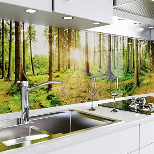 danario Küchenrückwand selbstklebend - Glasoptik - Spritzschutz Küche - versteifte PET Folie - 0,8 mm - Sonnenstrahlen im Wald - 60cm x 280cm