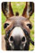 Happy Donkey Lufterfrischer, 2 Stück, Auto-Duft, zum Aufhängen, für Zuhause und Auto-Dekoration