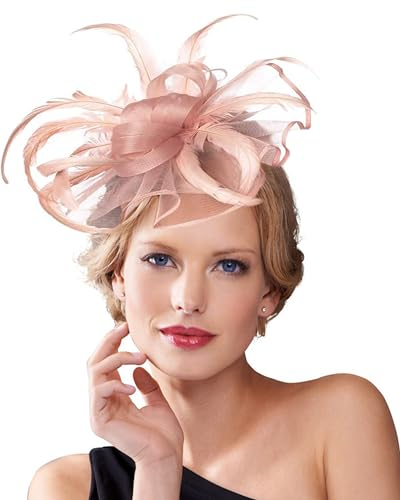 Dodheah Fascinator Cappello Donna Cappelli Cerimonia Piuma Velo Vintage Fascinators Fascia Copricapi Sposa Clip per Matrimonio Eventi Cocktail Ascot A4-Rosa