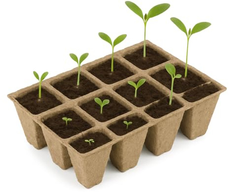 Anzuchttöpfe aus Zellulose Höhe 5 cm zur Anzucht von Pflanzen Pikiertöpfe biologisch abbaubarer Pflanztopf Anzuchttopf für Garten Balkon Terrasse Beet Hochbeet Kräutergarten Gewächshaus (1200)