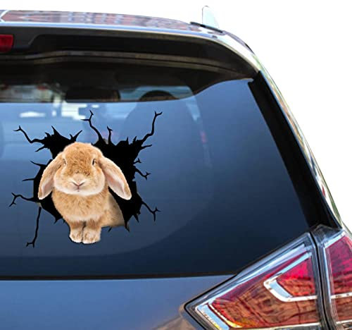 Hasen-Aufkleber, Hasen-Aufkleber, Auto, coole 3D-LKW-Atickers für Kühler, Vynil Glasaufkleber