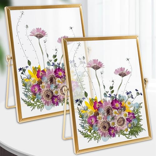 Behogan 2 Stück Glas-Bilderrahmen: 15 * 20cm Glas Metall Fotorahmen, Retro-Glas-Bilderrahmen, Kunstwerk Bilderrahmen für Desk Decor DIY Bilder, Getrockneter Blumen Artwork Bild Display Halter