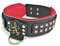 Bestia General Lederhalsband mit austauschbaren Designs. 6,3 cm breit! Nur für große Hunde, Dogo, Rottweiler, Presa, Bulldog, Pitbull, Bully, Amstaff, Cane Corso. 100% Leder, Handgefertigt in Europa