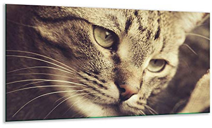 Piastra di Copertura per Piano Cottura Ceranfeld, a Forma di Gatto, Beige, 1 Pezzo, 90 x 52 cm